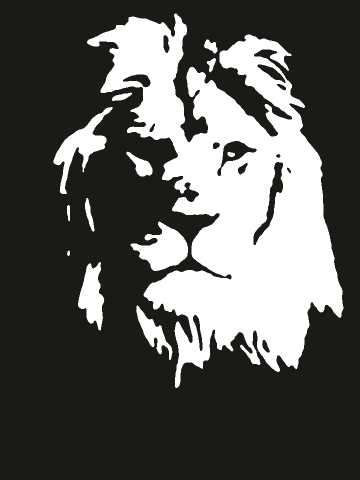 Lion photo turned into a detailed engraving stencil